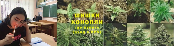 стафф Балабаново