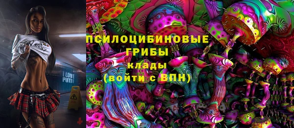 мдма Белокуриха