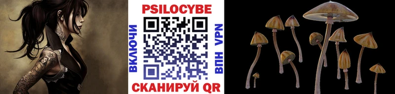 Псилоцибиновые грибы Cubensis  Трубчевск 